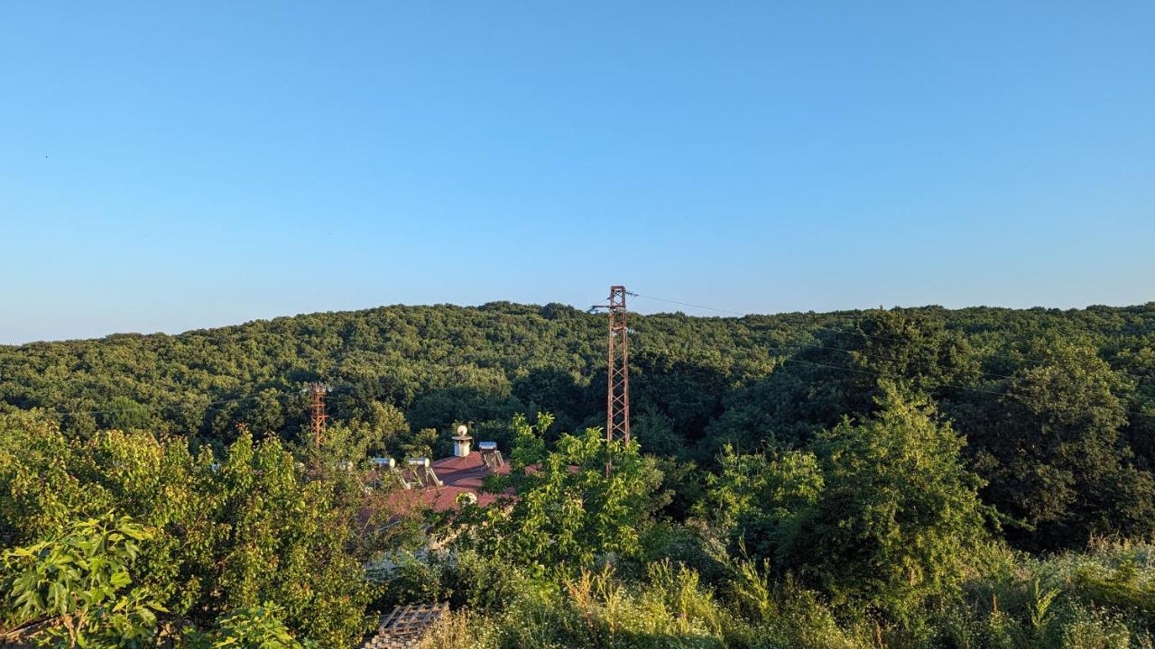 סינמורץ Guest House Chalakov מראה חיצוני תמונה